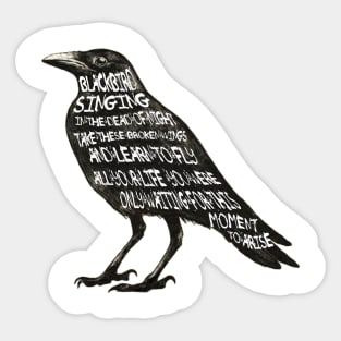 Black Bird Sticker